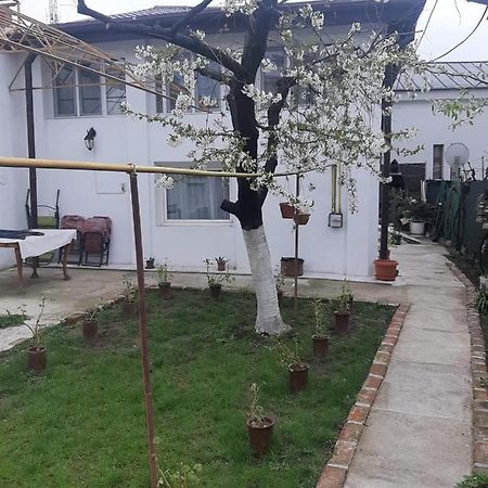 Отель House Крайова Экстерьер фото