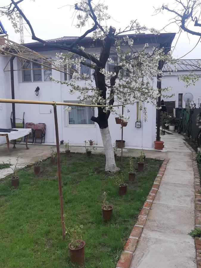 Отель House Крайова Экстерьер фото